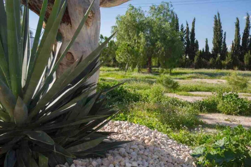 VILLA FINA  Murcia Esterno foto
